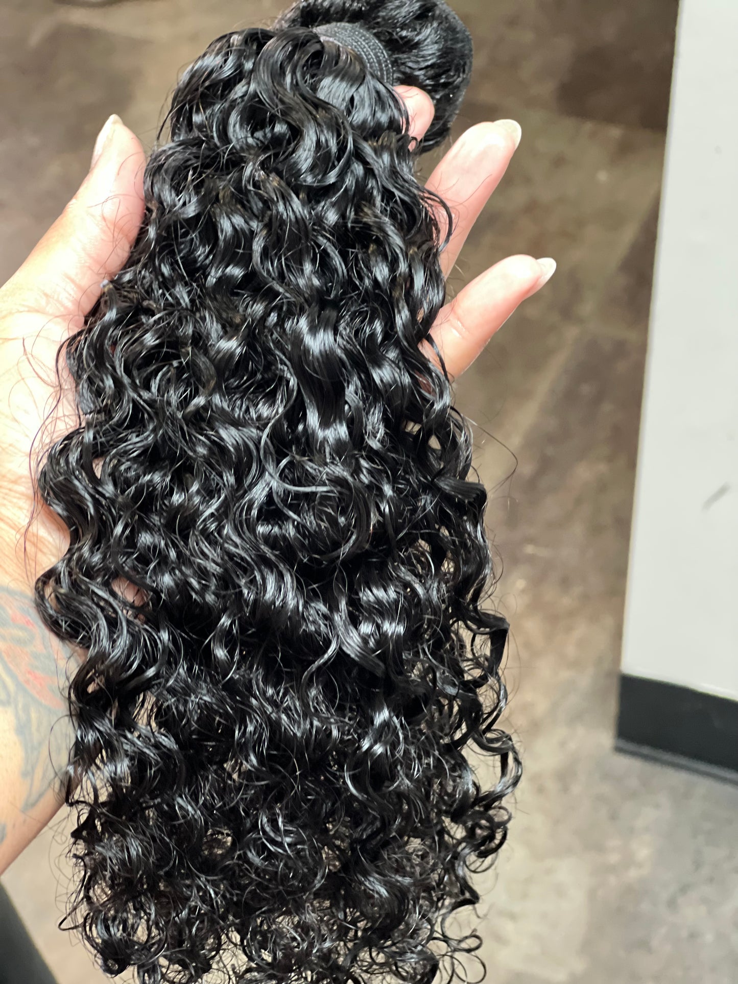 EHK BURMESE CURL